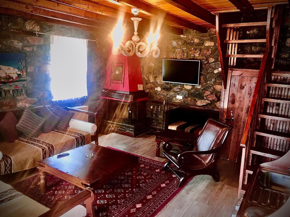 Chalet Asteras Tou Vorra Agios Athanasios  Buitenkant foto